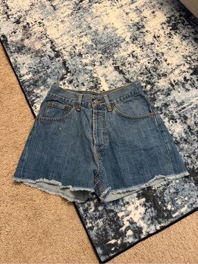 Brandy Melville Medium Blue Frayed Hem Denim Shorts
